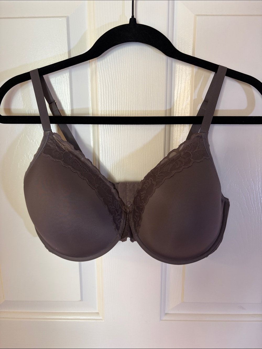 Natori Molded T-Shirt Bra with Lace Trim - Taupe Gray and Nude Beige